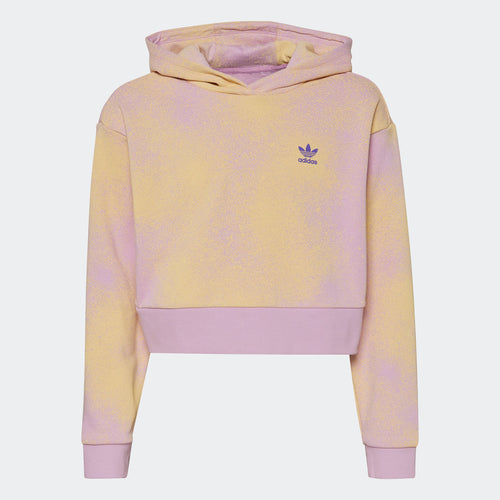 Kids' adidas Graphic Print Crop Hoodie