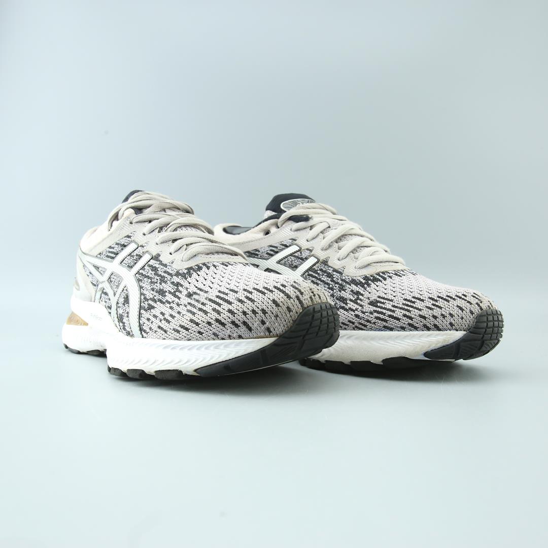ASICS GEL NIMBUS 22